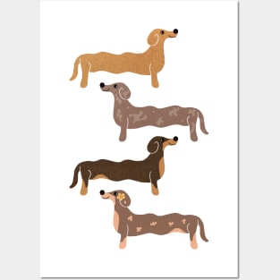 Dachshund | Sausage Dogs Posters and Art